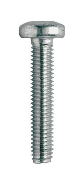 0403ZPTZ 4-40 X 3/16 6-LOBE (T10) PAN HEAD TRILOBE THREAD FORMING SCREW STEEL ZINC